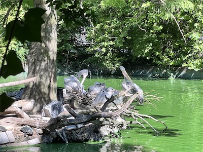 IMG_8636.jpg