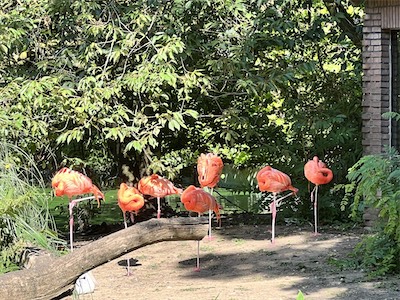 IMG_8638.jpg