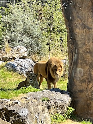 IMG_8661.jpg