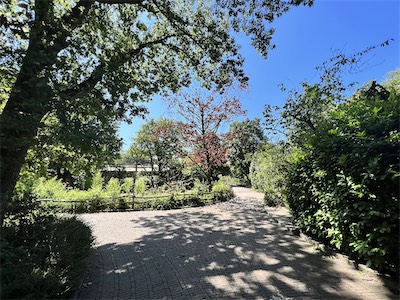 IMG_8670.jpg
