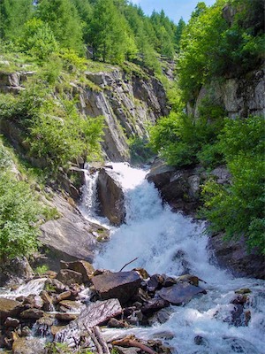 DSC00781.jpg