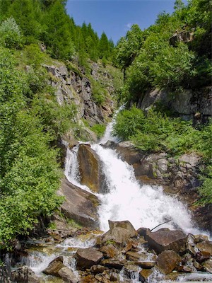 DSC00829.jpg