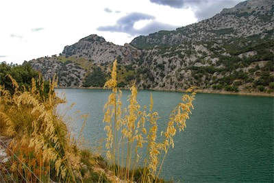 DSC_0845.jpg