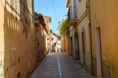 DSC_1012.jpg