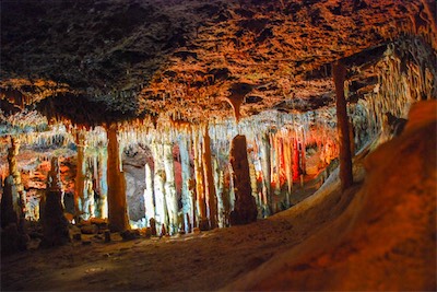 DSC_1082.jpg