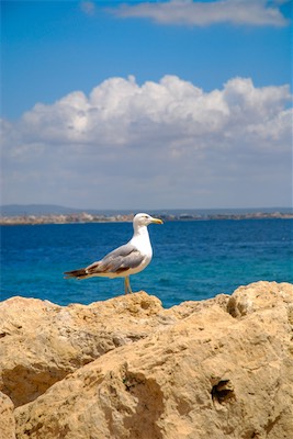 DSC_1221.jpg