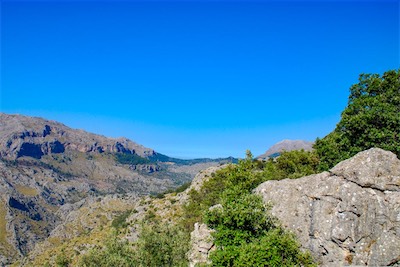 DSC_1384.jpg
