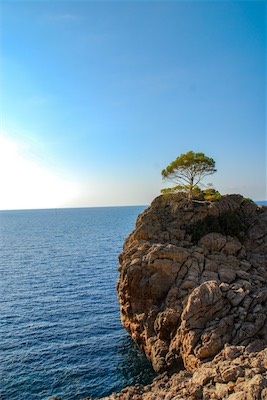 DSC_1413.jpg