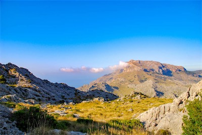 DSC_1416.jpg