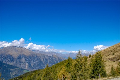 DSC_1953.jpg