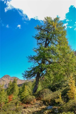 DSC_1959.jpg
