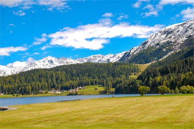 DSC_2174.jpg