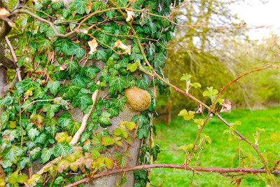 DSC_3416.jpg