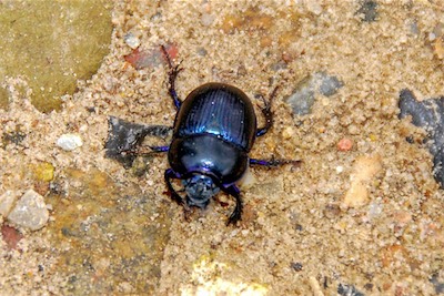 DSC_3446.jpg