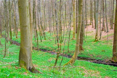 DSC_3448.jpg