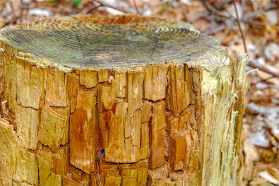 DSC_3471.jpg