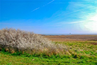 DSC_3505.jpg