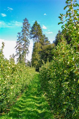 DSC_3981.jpg