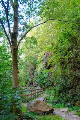 DSC_3987.jpg