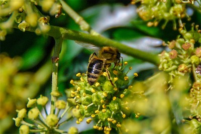 DSC_3995.jpg