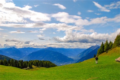 DSC_4017.jpg