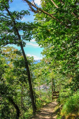 DSC_4045.jpg