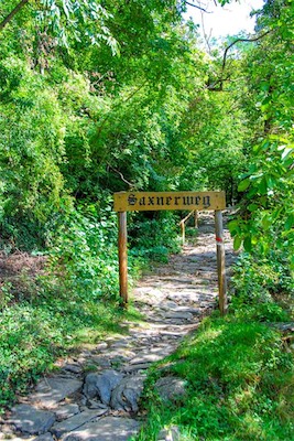 DSC_4064.jpg