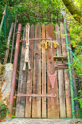 DSC_4092.jpg
