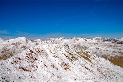 DSC_4133.jpg