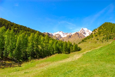 DSC_4189.jpg