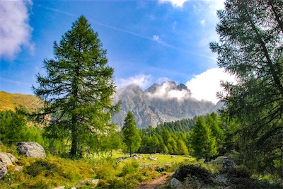 DSC_4229.jpg
