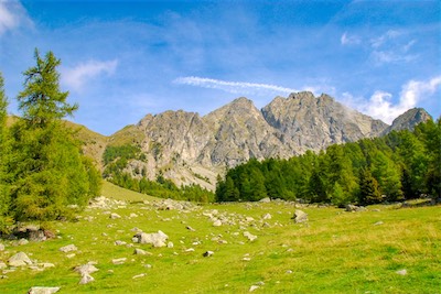 DSC_4237.jpg