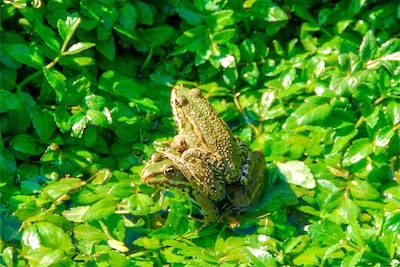 DSC_4283.jpg
