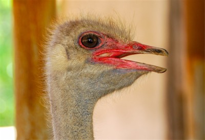 DSC_3634.jpg