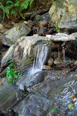 dsc_5992.jpg
