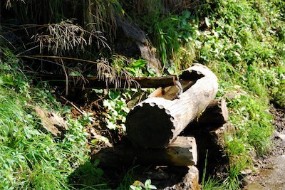 dsc_6046.jpg