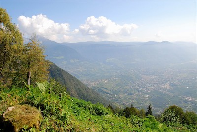 dsc_6056.jpg
