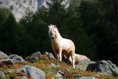 dsc_6127.jpg