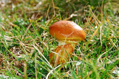 dsc_6153.jpg