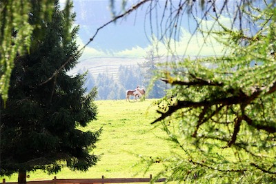 dsc_6164.jpg