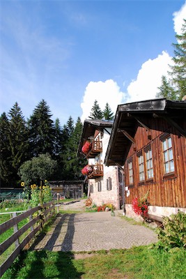 dsc_6167.jpg