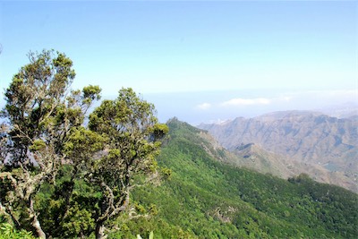 dsc_5378.jpg
