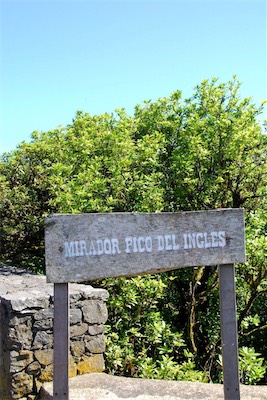 dsc_5392.jpg