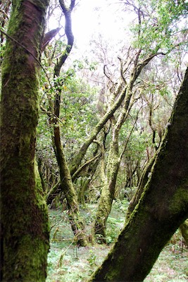 dsc_5667.jpg