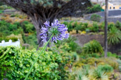 dsc_4642.jpg