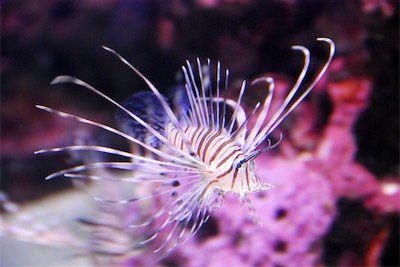 dsc_4873.jpg