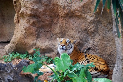 dsc_4967.jpg