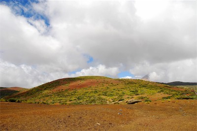 dsc_5498.jpg