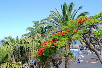 dsc_4491.jpg