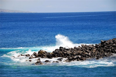 dsc_4610.jpg